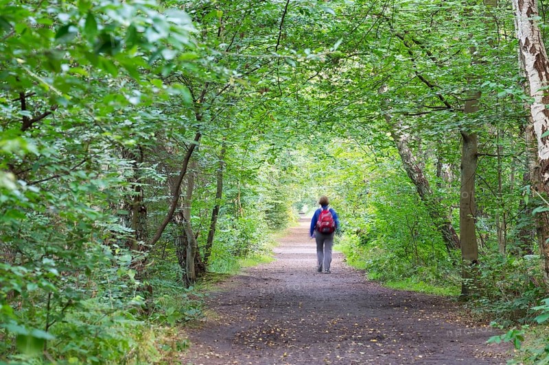 Woman on forest path