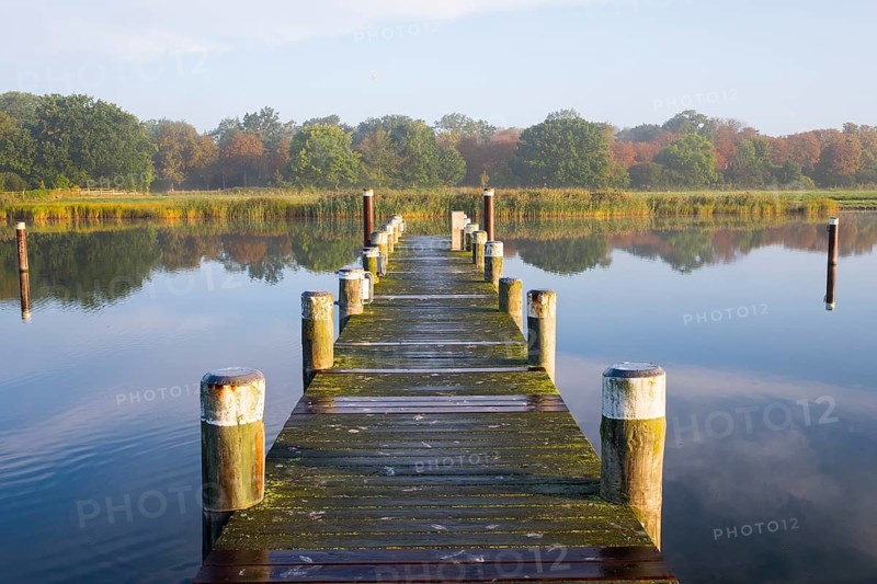 Jetty