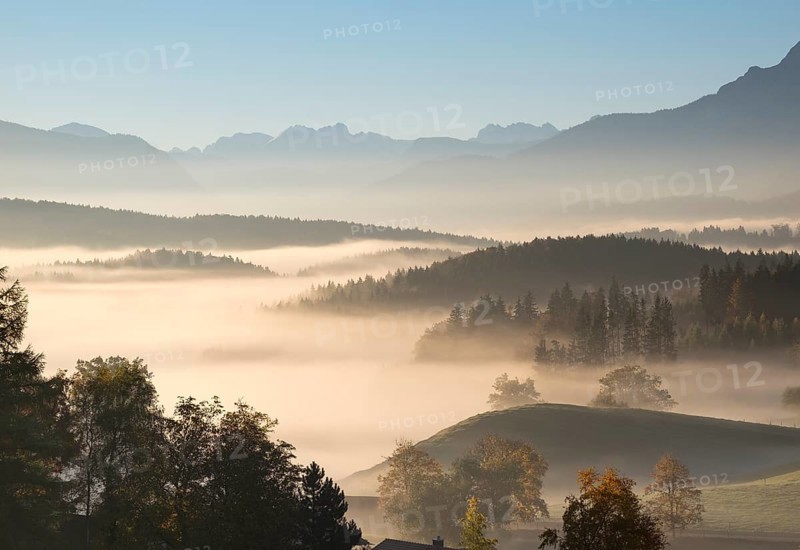 Morning fog