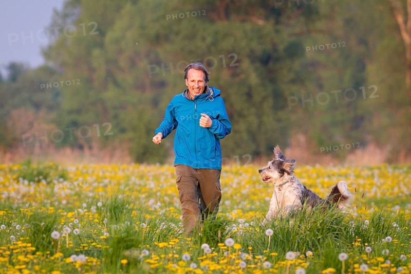 Man and dog (Canis lupus familiaris)