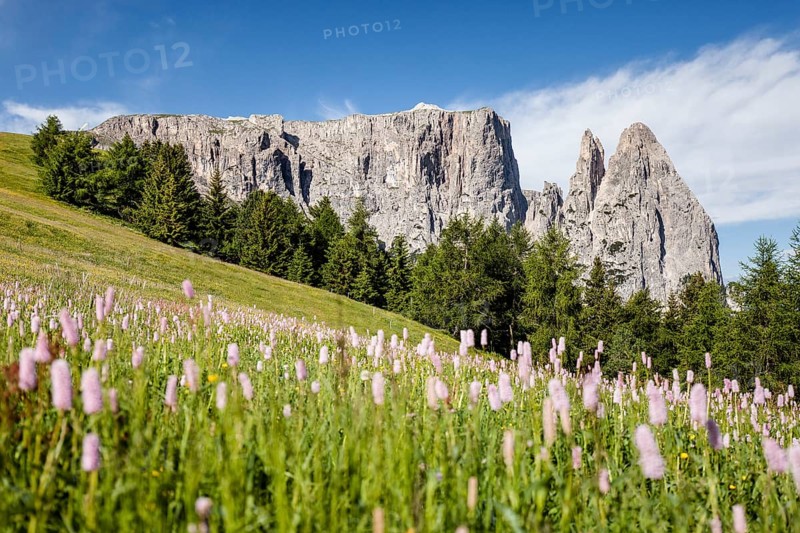 Schlern with the Santner and Euringer crags
