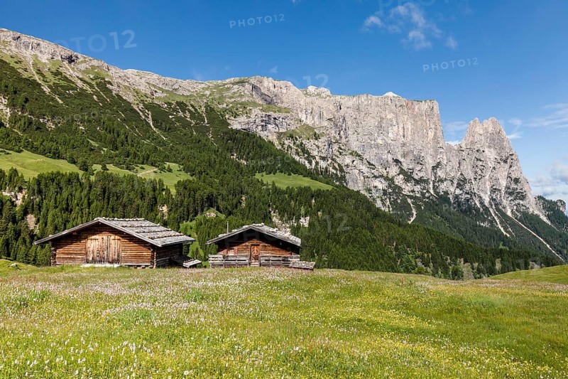 Spring on the Seiser Alm in the Schlern-Rosengarten Nature Park