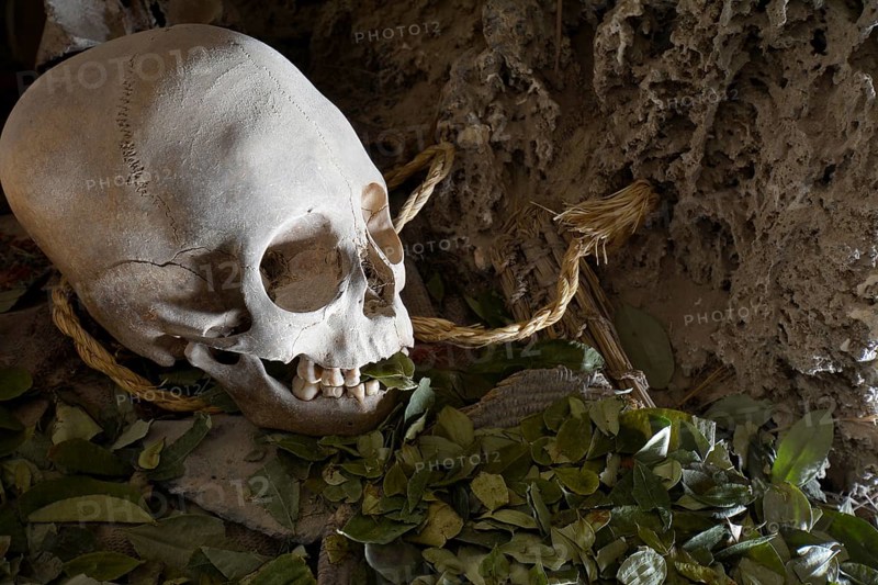 Skull of mummy with offering of coca leaves