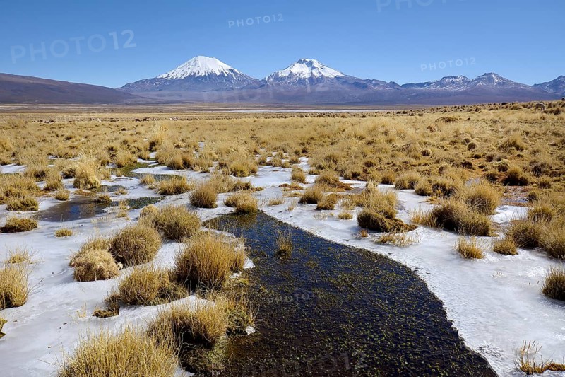 Snow-covered volcanoes Pomerape and Parinacota