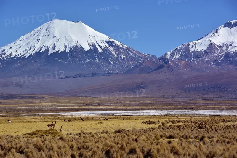 Snow-covered volcanoes Pomerape and Parinacota