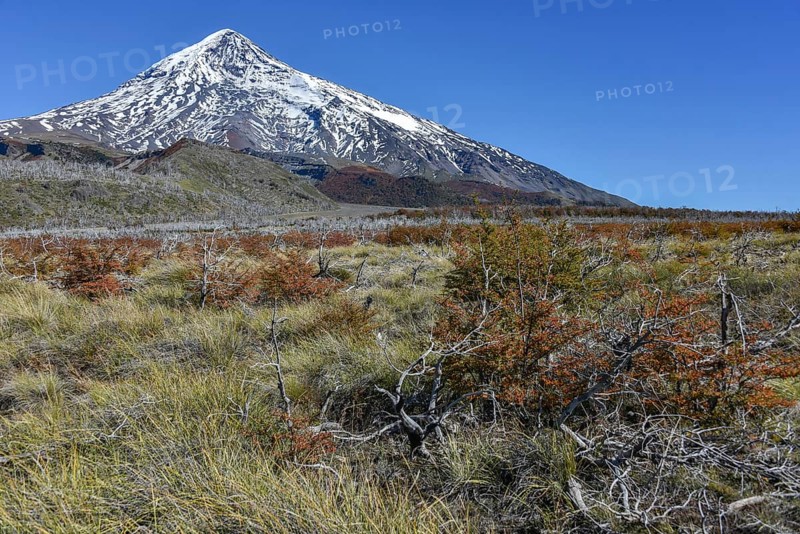 Snow covered volcano Lanin