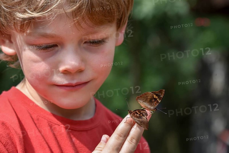 Little boy with butterflies on hand