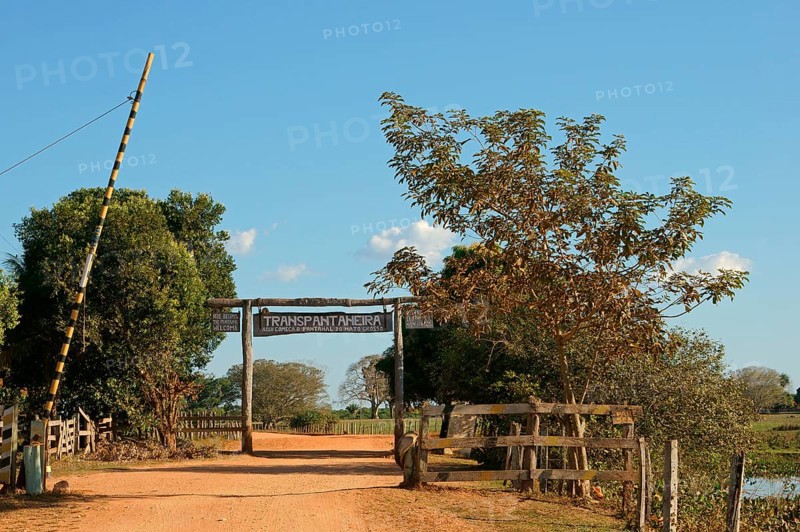 Transpantaneira road leading into the Pantanal
