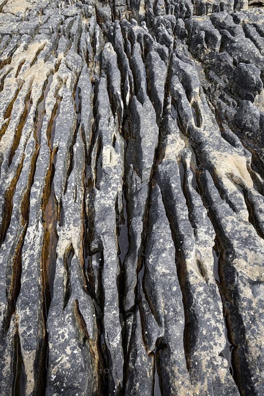 Weathered volcanic rock in the bay of Elgol