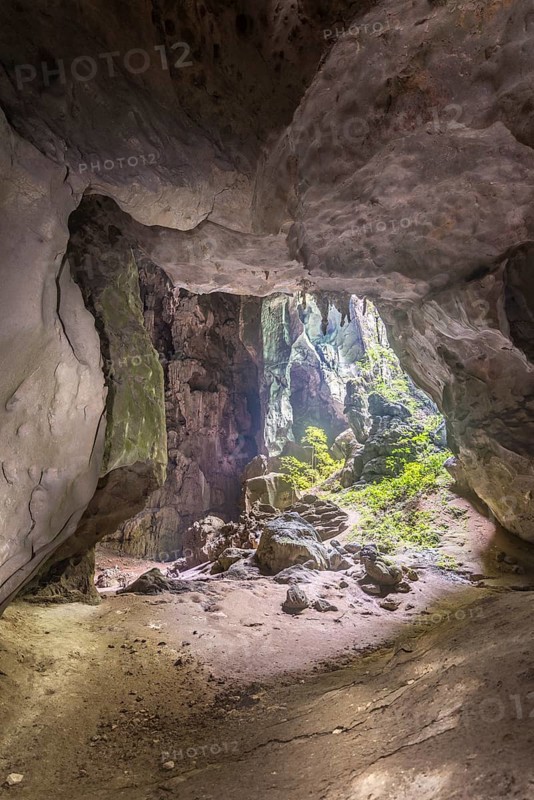Stalactite cave in the jungle