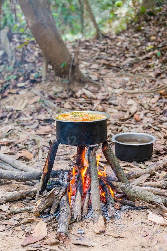 Pot of food on a campfire in the jungle