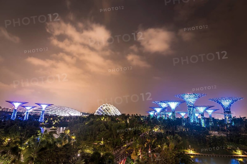 Illuminated SuperTrees at night