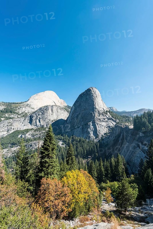 Liberty Cap