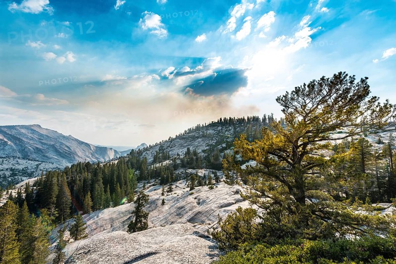 View in the High Sierra