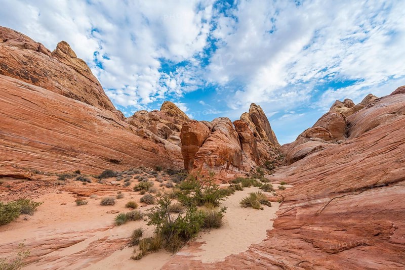 Red orange sandstone rock