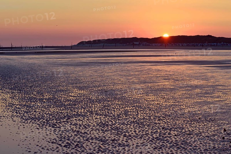 Wave patterns in the sand
