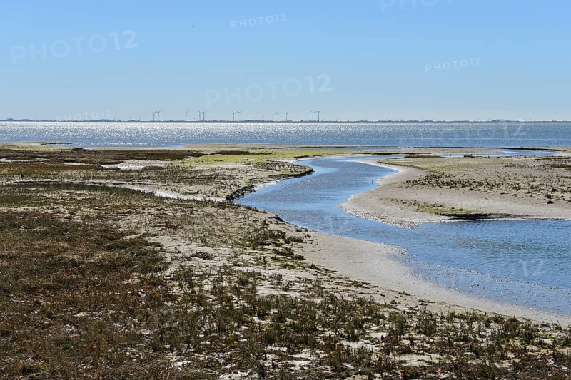 Narrow channel in alluvial land