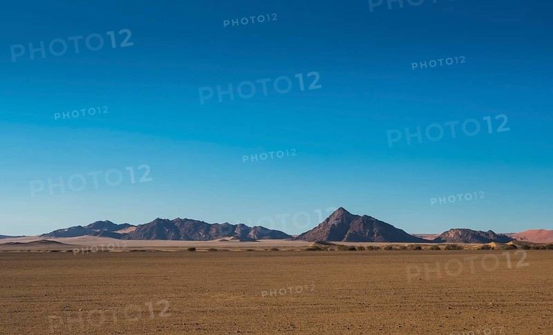 Namib Desert