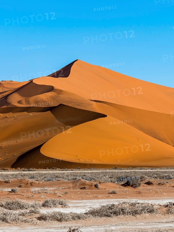 Sand dune on the edge of the Namib Desert