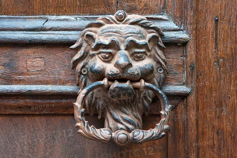 Lionhead as doorknocker of an entrance door