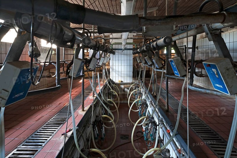 Empty herringbone parlour