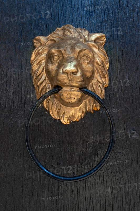 Golden lion head as door knocker