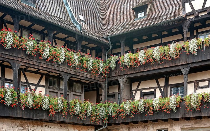 Floral decoration on pergolas at Alte Hofhaltung or Old Court