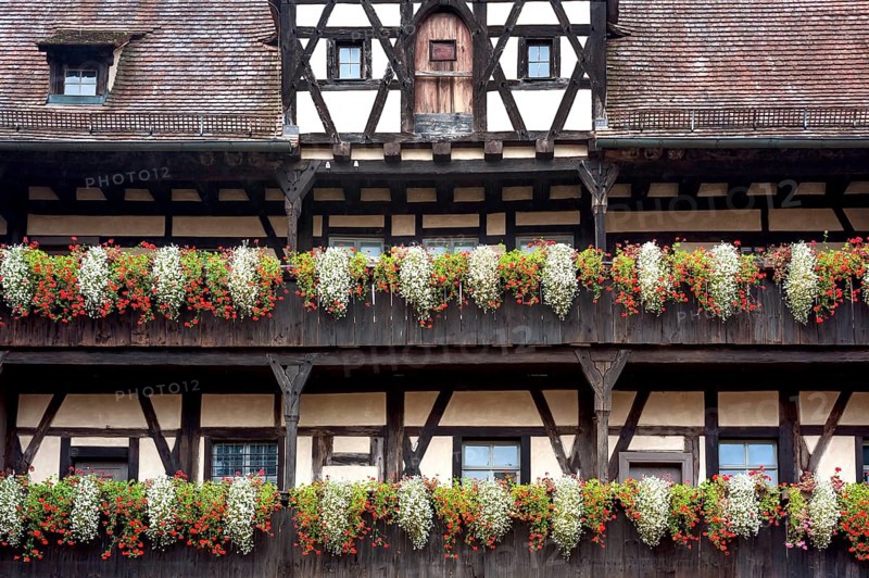 Floral decoration on pergolas at Alte Hofhaltung or Old Court