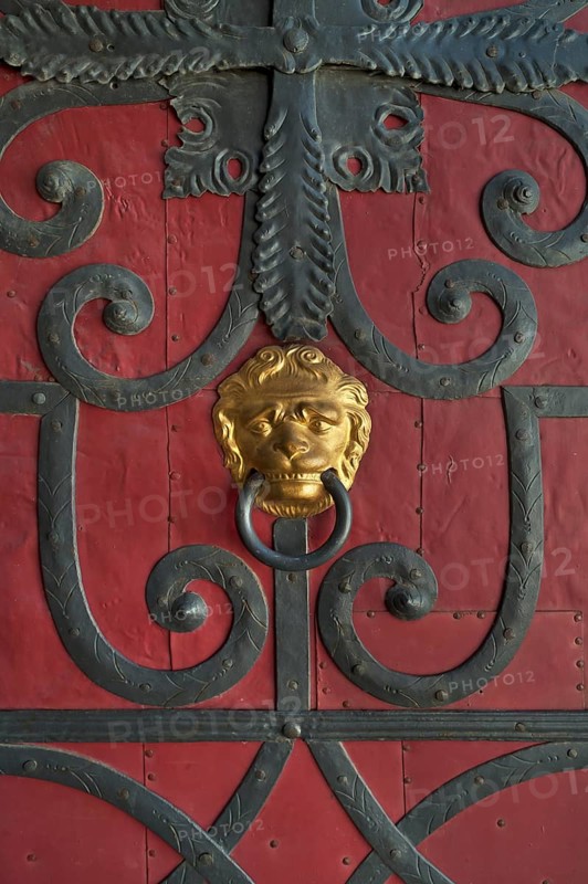 Gilded lion head door knocker
