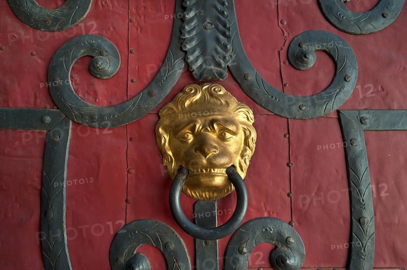 Gilded lion head door knocker