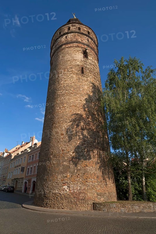 Nikolai Tower
