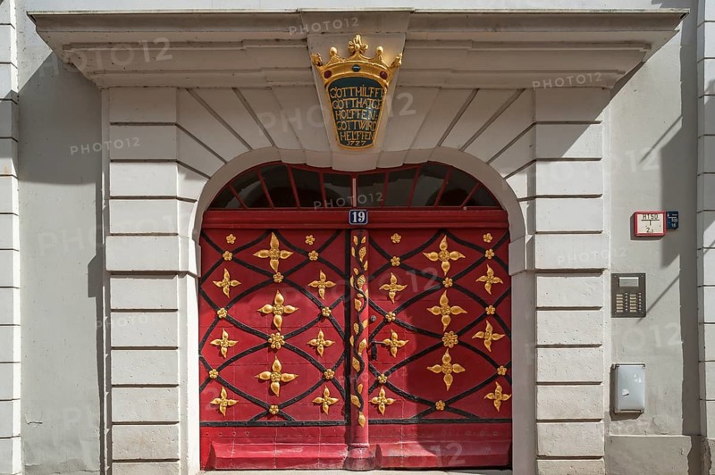 Entrance door with leaf gold