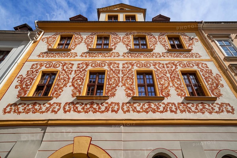 Baroque house with painted leaves