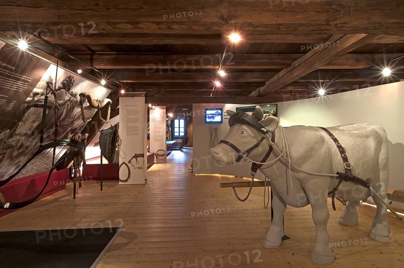 Permanent exhibition rooms