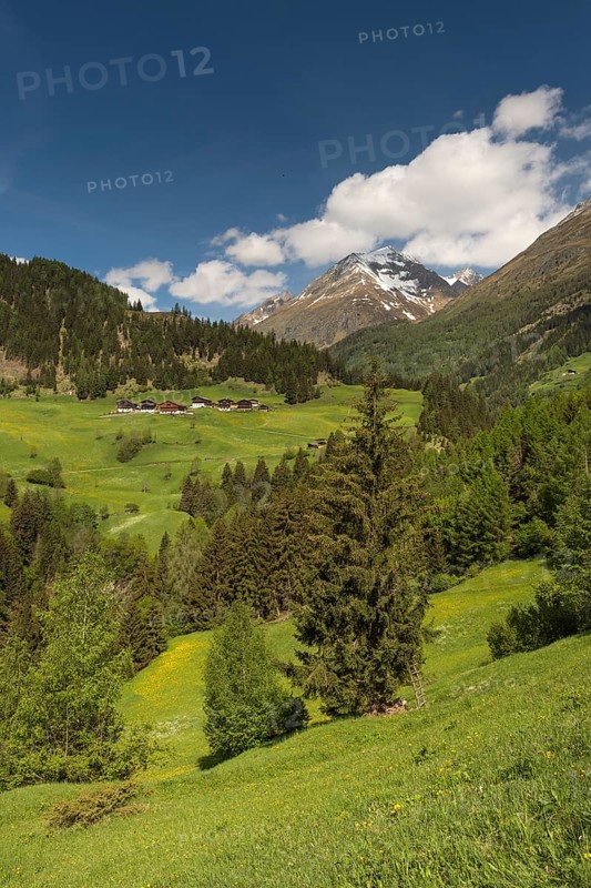Mountain landscape with farmhouses