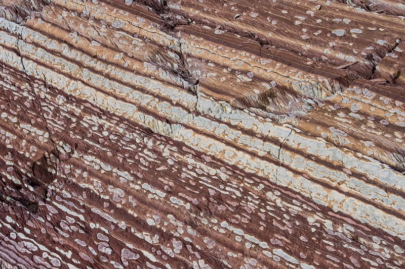 Limestone coloured red by iron and whitish-yellow dolomite