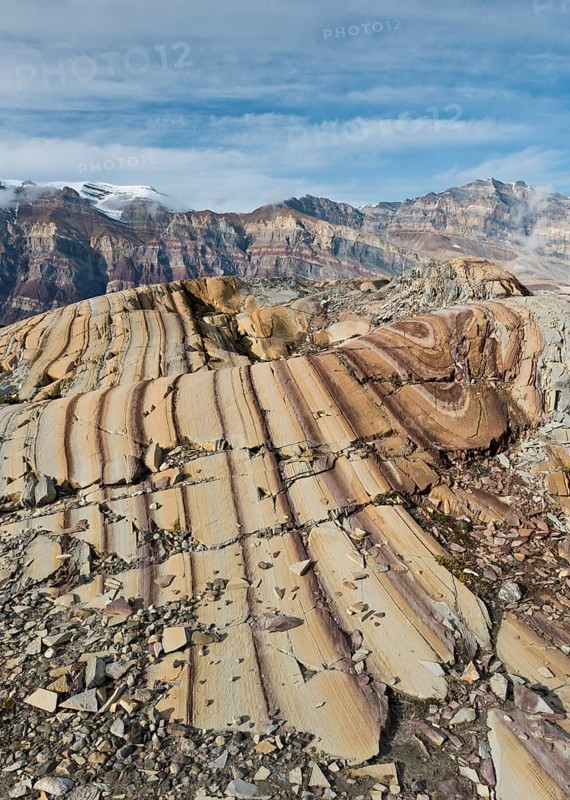 Limestone coloured red by iron and whitish-yellow dolomite