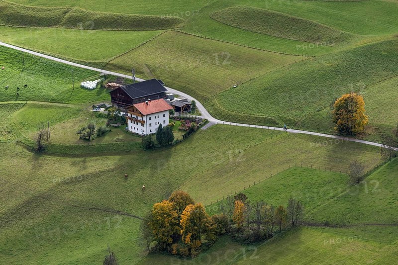 Farmyard