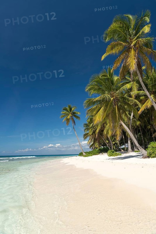 Dream beach