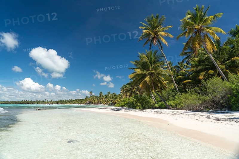 Dream beach