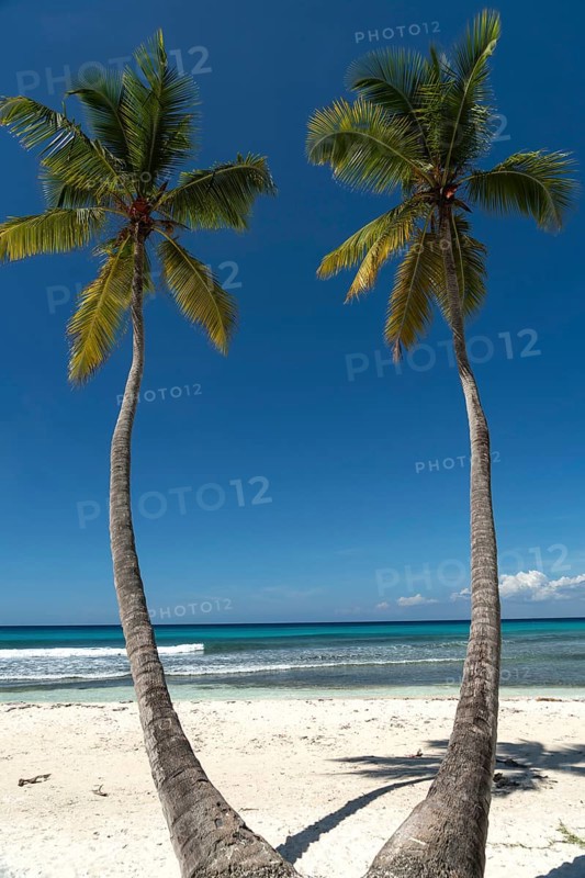 Dream beach