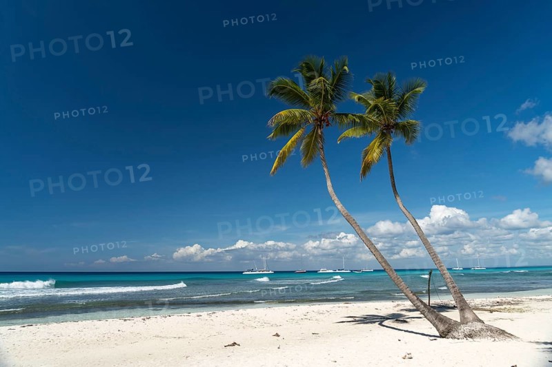 Dream beach