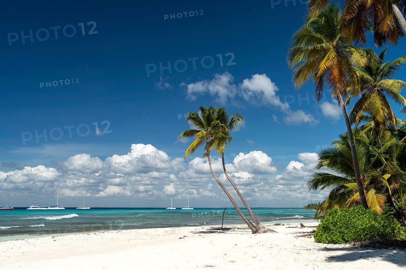 Dream beach
