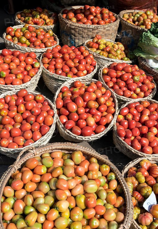 Tomatoes in baskets