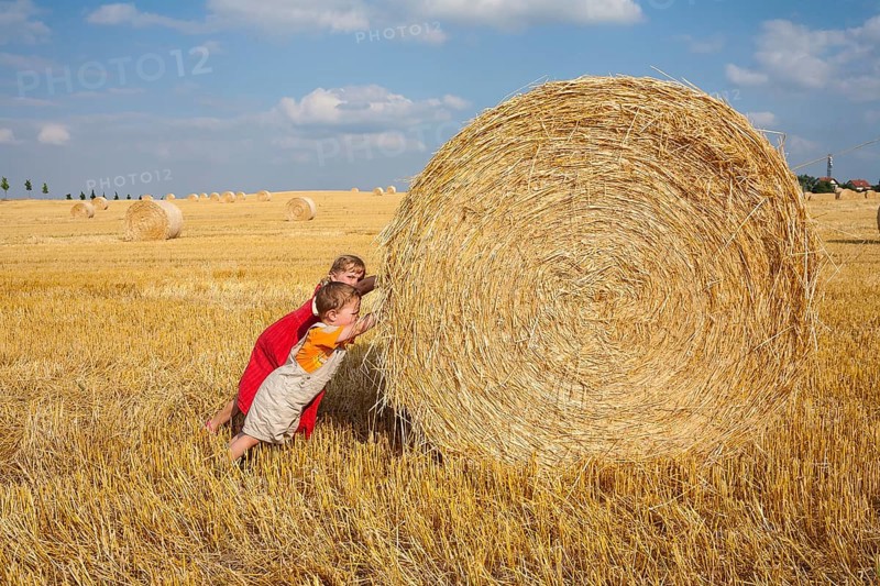 Little girl and boy trying to move away a straw bale on a stubble field
