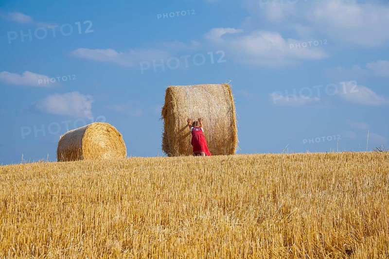 Little girl tries to move away a straw bale on a stubble field