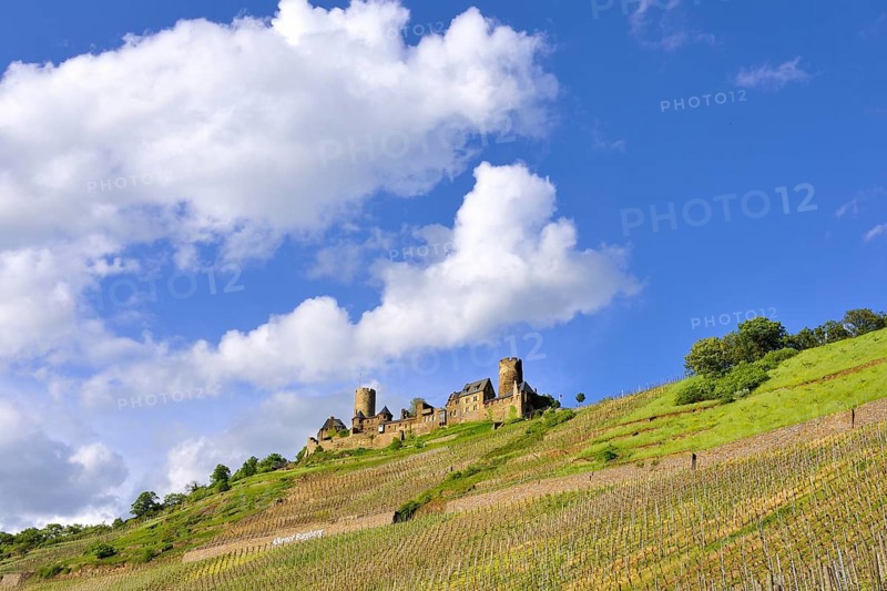 Burg Thurant