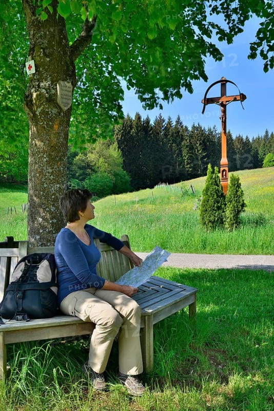 Woman sitting on bench under a tree