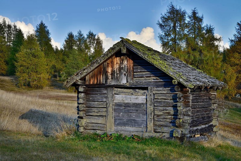 Shed