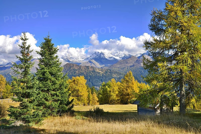 Cultural landscape with larches